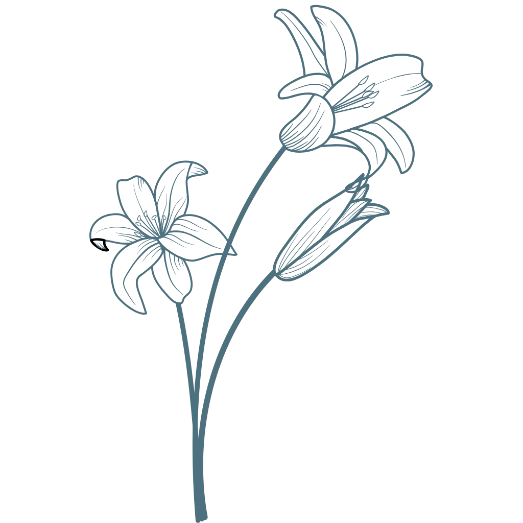 respire, ressens, rayonne avec Tant Pour Soi